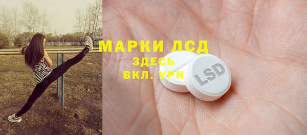 крисы Снежногорск