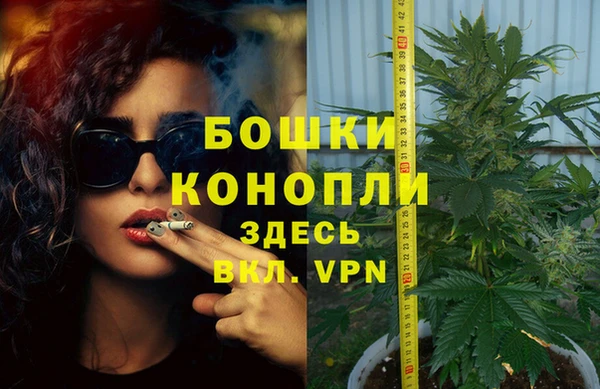 крисы Снежногорск