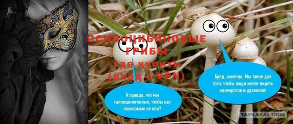 крисы Снежногорск
