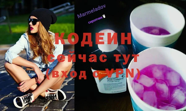 крисы Снежногорск