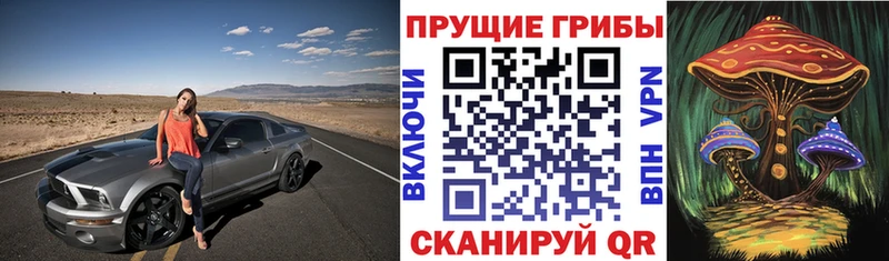 Купить где  Ступино  Псилоцибиновые грибы ЛСД 