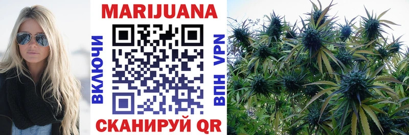 Купить где Ступино Шишки марихуана SATIVA & INDICA